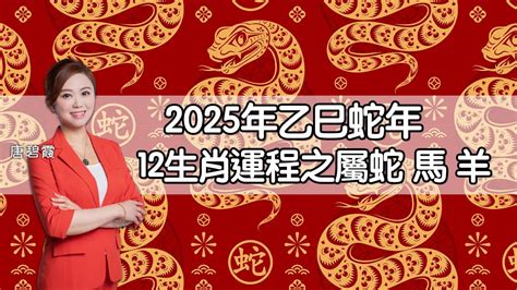 2025蛇年運程|2025蛇年運程｜12生肖完整運程運勢：財運/事業/感情/健康全面睇 